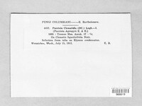 Image Associated With the Occurence